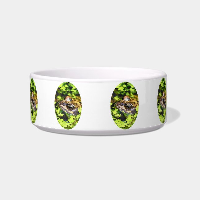FROG NAPF (Vorderseite)
