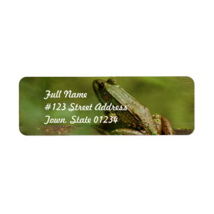 Frog on Log Mailing Labels