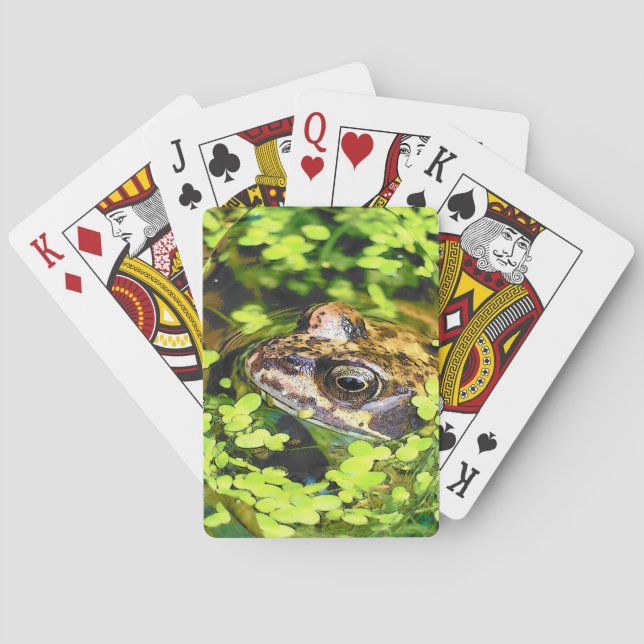FROG PLAYCARDS SPIELKARTEN (Rückseite)