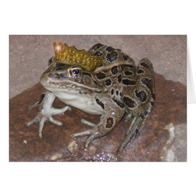 Frog Prince (Vorderseite (Horizontal))