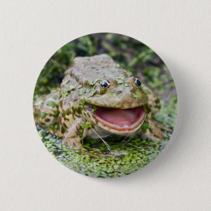 Frog Prince Abzeichen Button