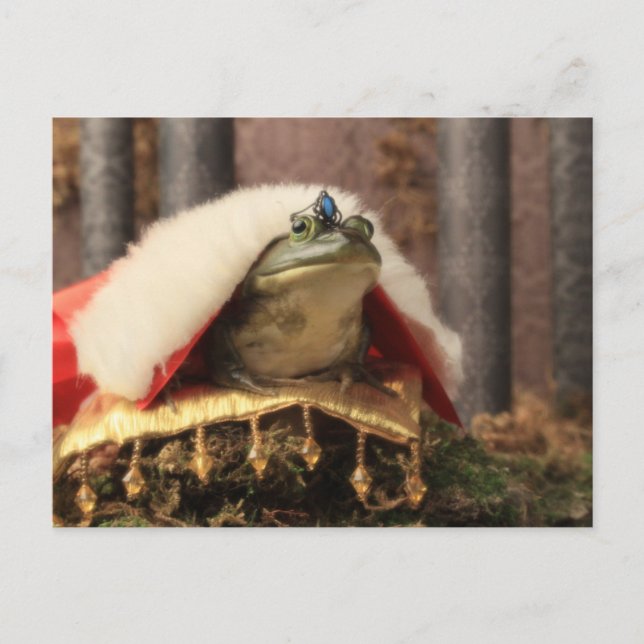 Frog Prince Postkarte (Vorderseite)