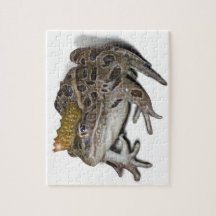 Frog Prince (Text hinzufügen)