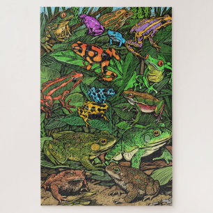 Frog Puzzle Schwierigkeit