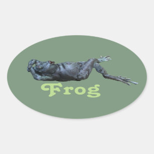 Frog Statue Ovaler Aufkleber