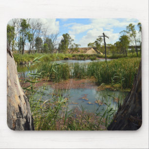 Frog_swap_Paradise,_ Mousepad