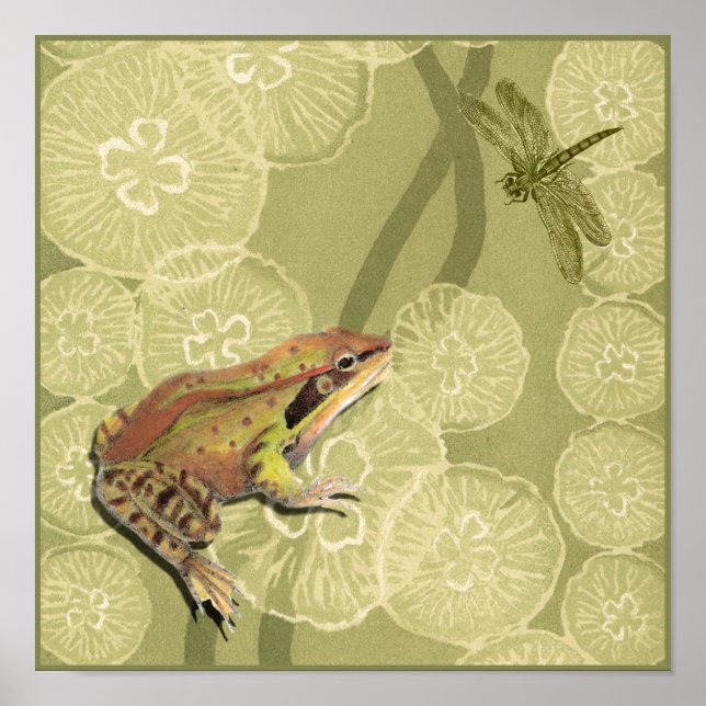 Frog und Dragonfly auf Water Lilies Poster (Vorne)