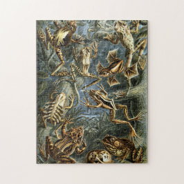 Frog und Toad Ernst Haeckel Vintag Puzzle