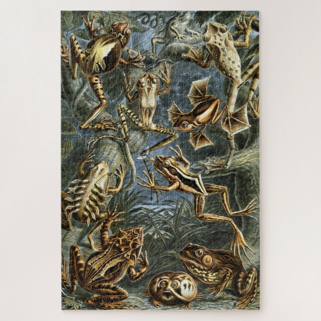 Frog und Toad Ernst Haeckel Vintag Puzzle (Vertikal)