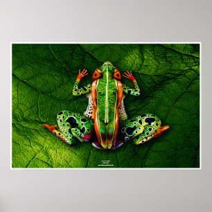 Frog von Johannes Stötter Poster