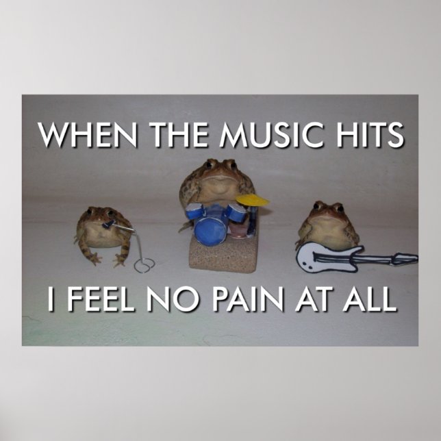 Froggo und da Crew Poster (Vorne)