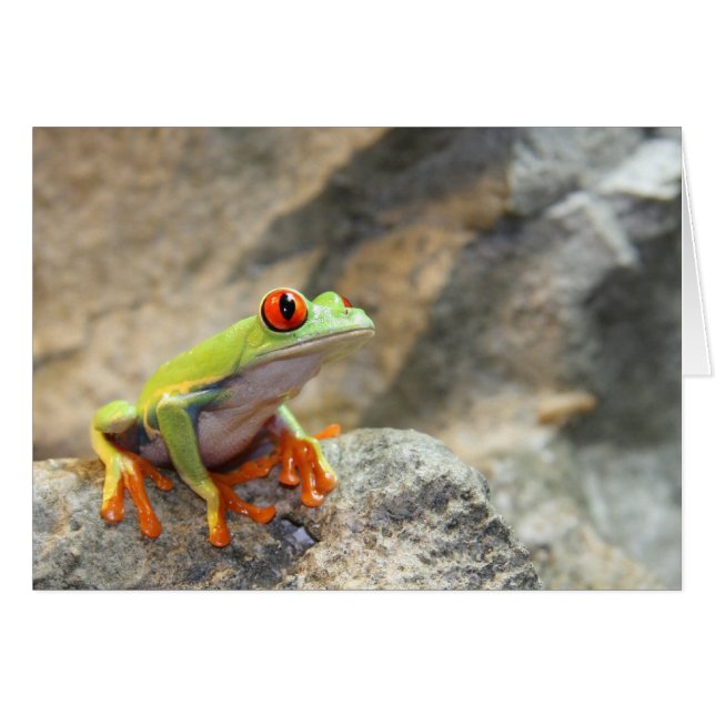 Froggy (Vorderseite (Horizontal))