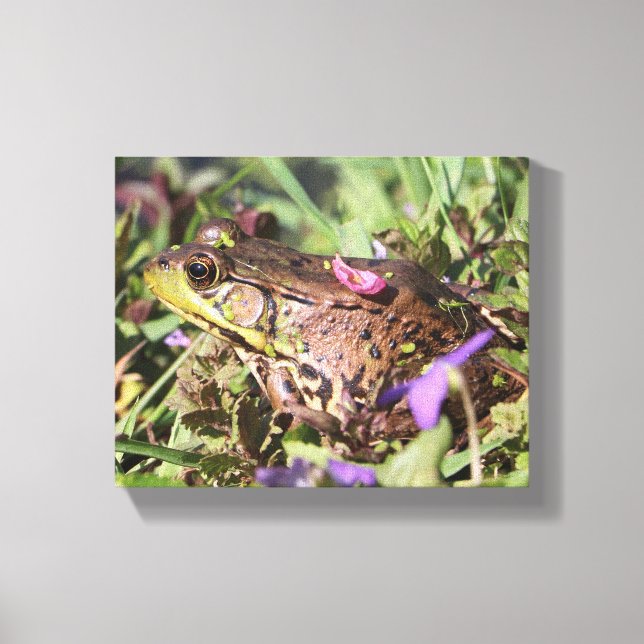 Froggy Leinwanddruck (Vorderseite)