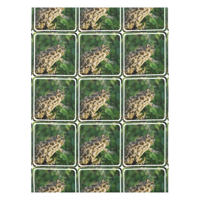 Froggy Tischdecke (Vorderseite)