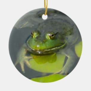 Froggy-Verzierung Keramikornament