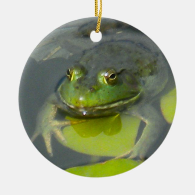 Froggy-Verzierung Keramikornament (Vorne)