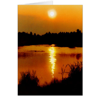Frogmore Ponds