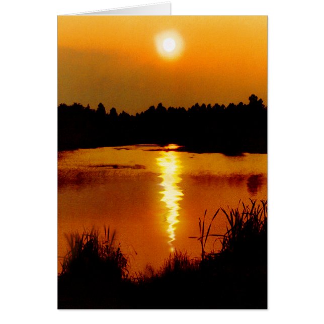 Frogmore Ponds (Vorne)