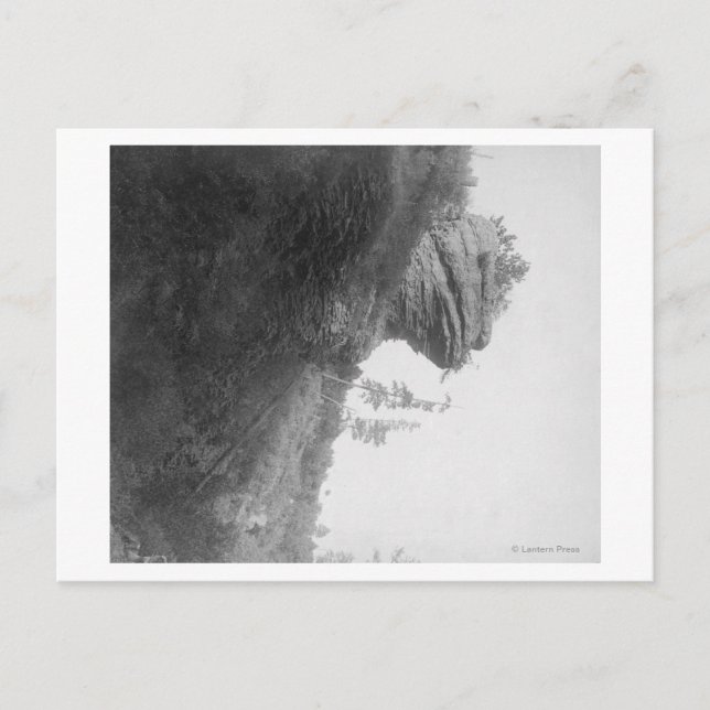 Frog's Head Rock on Deadwood Road Fotograf Postkarte (Vorderseite)