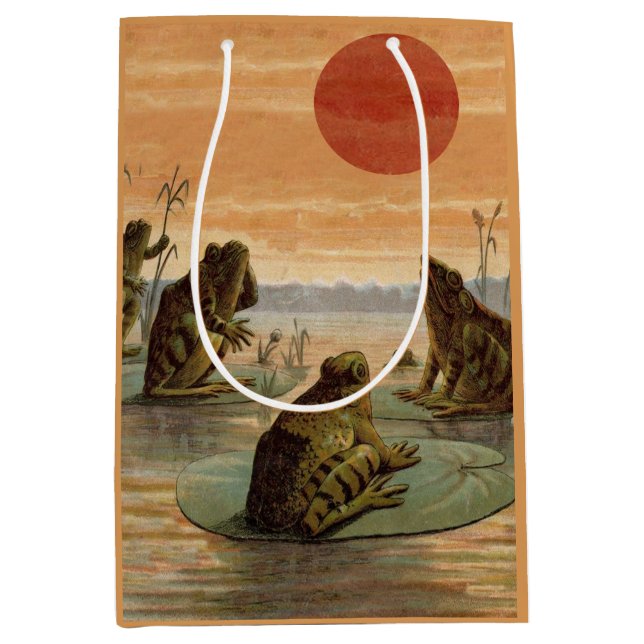 Frogs Lily Pads Moon Illustration Mittlere Geschenktüte (Vorderseite)