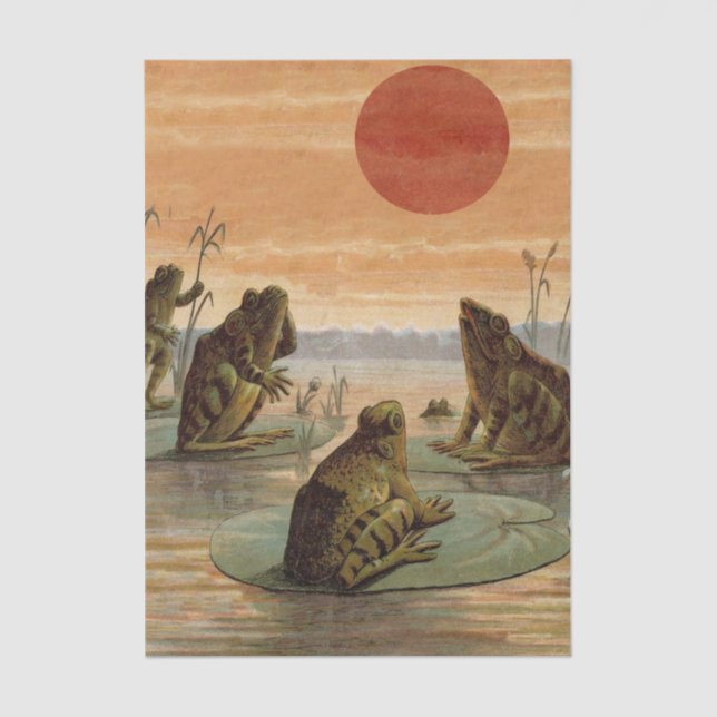 Frogs Lily Pads Moon Illustration Seidenpapier (Vorderseite)