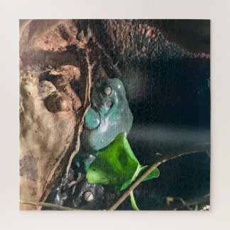 Frogs Mystery Life Nr. 2 Puzzle