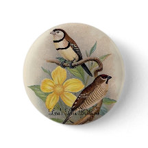 Frohawk - Bichenos Fink u. Kirschfink