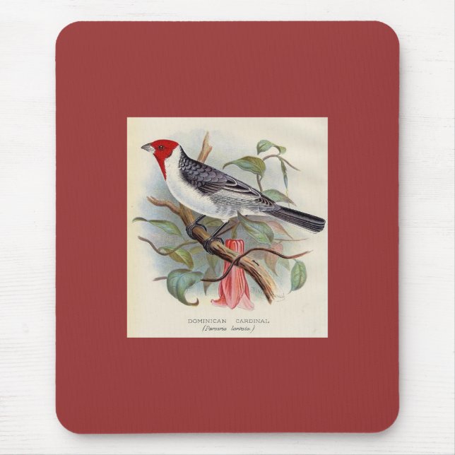 Frohawk - dominikanischer Kardinal Mousepad (Vorne)
