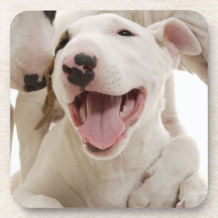 Frohe Bullterrier Untersetzer