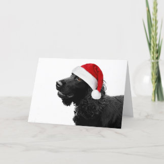 Frohe Christmas Cocker Feiertagskarte