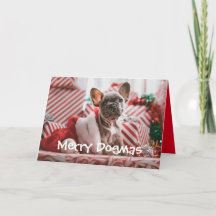 Frohe Dogmas Weihnachtskarte vom Hund