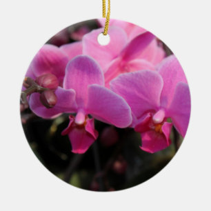 Frohe Feiertage, hübsche rosa Orchideenblumen Keramikornament