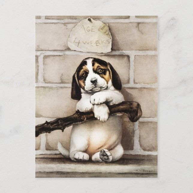 Frohe Feiertage Postkarte (Vorderseite)
