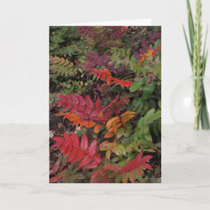 Frohe Feiertage vom pazifischen Nordwesten Feiertagskarte