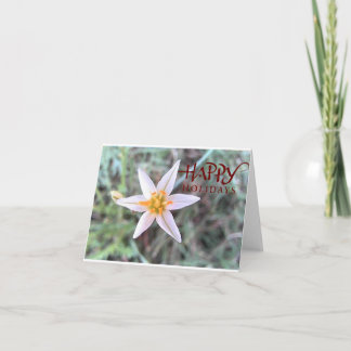 Frohe Feiertage Weiße Blume Leere Grußkarte Dankeskarte