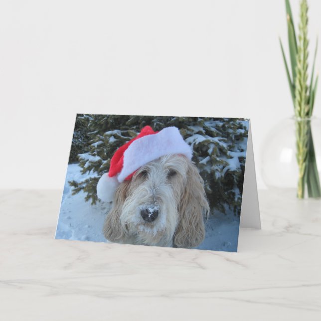 Frohe GBGV Weihnachten (Vorderseite)