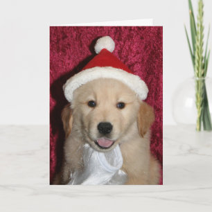 Frohe goldene wenig Weihnachten