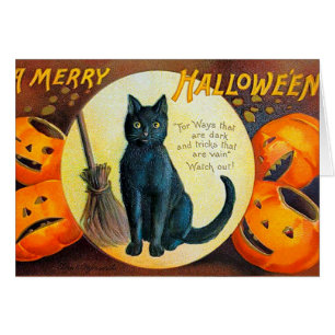 Frohe Halloween-Katze
