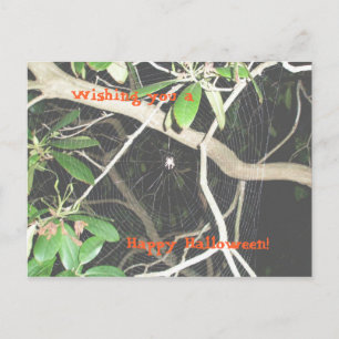 Frohe Halloween! Postkarte