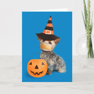 Frohe Halloween Yorkie in Coronavirus Gefechtsmask Feiertagskarte