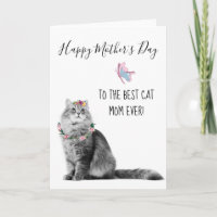 Frohe Mutter Tag Von Katze Beste Katze Mama
