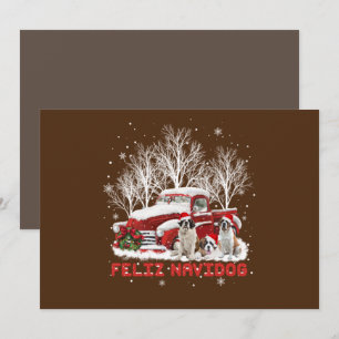 Frohe Navidog Sankt Bernhard Weihnachten Hunde Lie Einladung