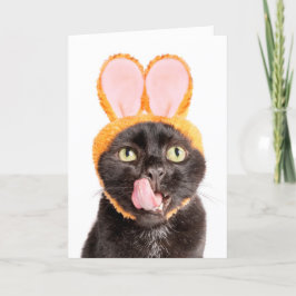 Frohe Osterfeier für alle Katzen in den sonnigen O Feiertagskarte