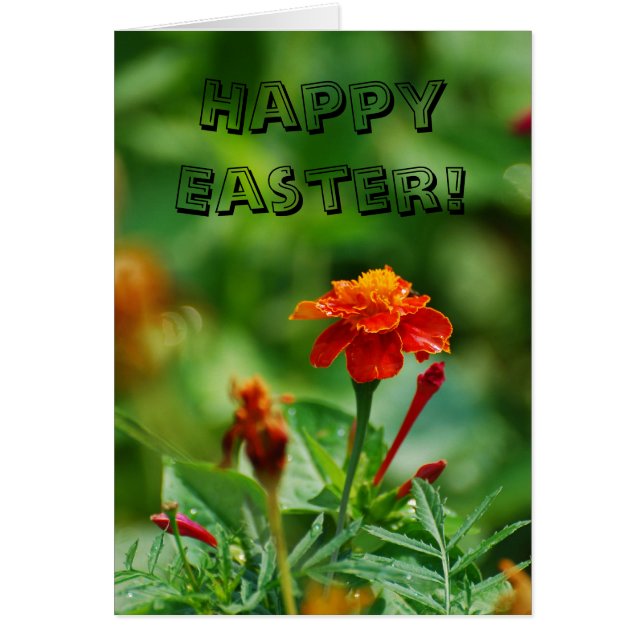 Frohe Ostern! (Vorne)