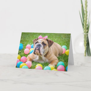 Frohe Ostern Bulldogge Feiertagskarte