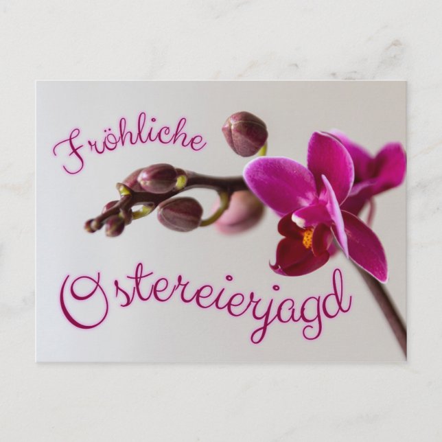 Frohe Ostern mit fröhlicher Ostereierjagd! Postkarte (Vorderseite)