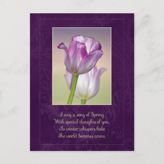 Frohe Ostern Postkarte / Ostertulpen (Vorderseite)