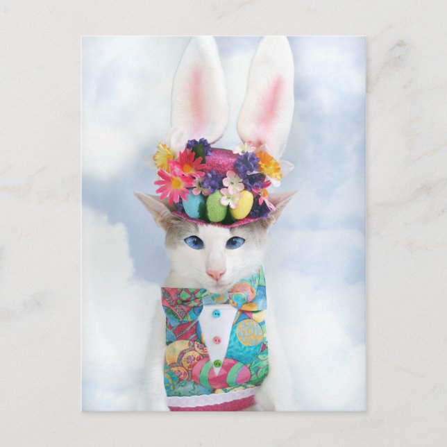 Frohe Ostern Postkarte von Skeezix, Katze (Vorderseite)