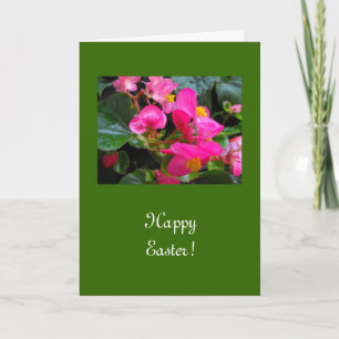 Frohe Ostern rosa Begonienblüten Feiertagskarte