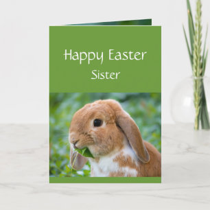 Frohe Ostern Süßer Hase Spezielle Schwester Feiertagskarte